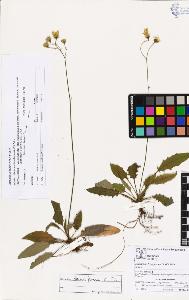 SW_BNB_s3070-03151_IMG-0000000001