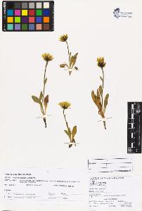 SW_BNB_s3070-03153_IMG-0000000001