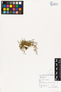 SW_BNB_s3070-03155_IMG-0000000001
