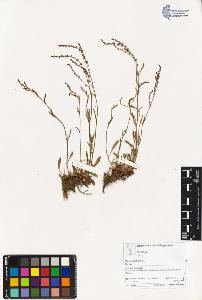 SW_BNB_s3070-03160_IMG-0000000001