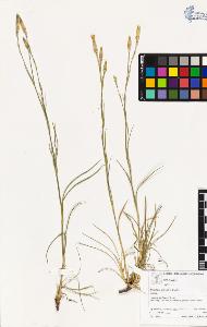 SW_BNB_s3070-03164_IMG-0000000001