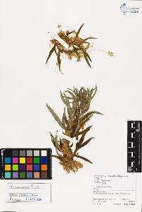 SW_BNB_s3070-03167_IMG-0000000001