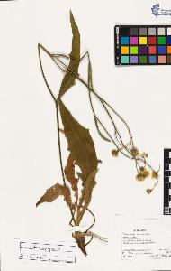 SW_BNB_s3070-03176_IMG-0000000001
