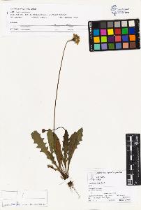 SW_BNB_s3070-03178_IMG-0000000001