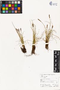 SW_BNB_s3070-03182_IMG-0000000001