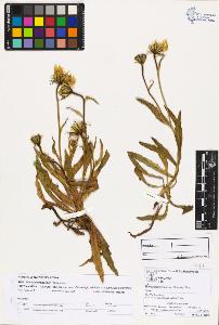 SW_BNB_s3070-03183_IMG-0000000001