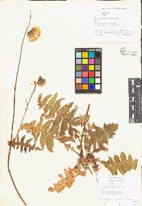 SW_BNB_s3070-03186_IMG-0000000001