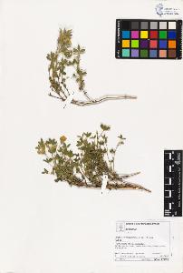 SW_BNB_s3070-03187_IMG-0000000001