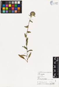 SW_BNB_s3070-03188_IMG-0000000001