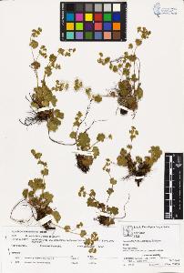 SW_BNB_s3070-03189_IMG-0000000001