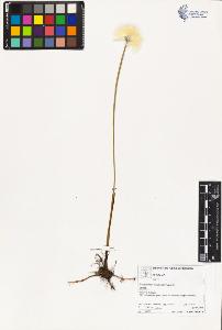 SW_BNB_s3070-03190_IMG-0000000001