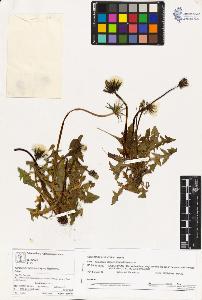 SW_BNB_s3070-03191_IMG-0000000001