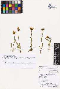 SW_BNB_s3070-03195_IMG-0000000001