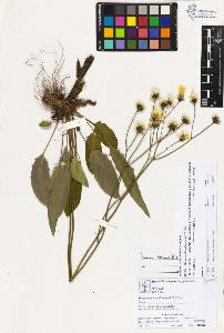 SW_BNB_s3070-03196_IMG-0000000001