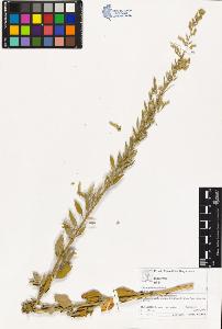 SW_BNB_s3070-03197_IMG-0000000001