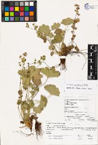 SW_BNB_s3070-03203_IMG-0000000001