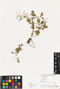 SW_BNB_s3070-03205_IMG-0000000001