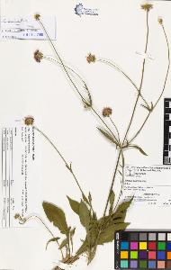 SW_BNB_s3070-03206_IMG-0000000001