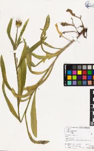 SW_BNB_s3070-03207_IMG-0000000001