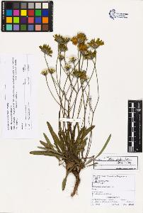 SW_BNB_s3070-03212_IMG-0000000001