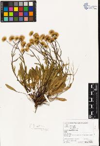 SW_BNB_s3070-03213_IMG-0000000001