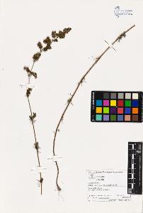 SW_BNB_s3070-03214_IMG-0000000001
