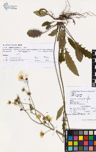 SW_BNB_s3070-03219_IMG-0000000001