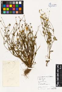 SW_BNB_s3070-03220_IMG-0000000001