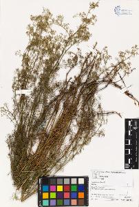 SW_BNB_s3070-03227_IMG-0000000001
