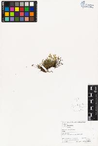 SW_BNB_s3070-03229_IMG-0000000001