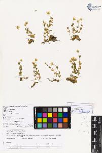 SW_BNB_s3070-03230_IMG-0000000001