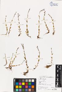 SW_BNB_s3070-03232_IMG-0000000001