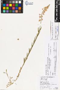 SW_BNB_s3070-03235_IMG-0000000001