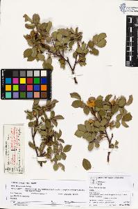SW_BNB_s3070-03241_IMG-0000000001