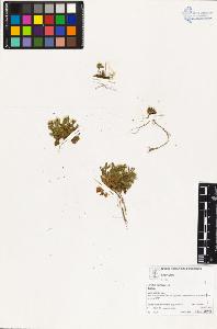 SW_BNB_s3070-03242_IMG-0000000001