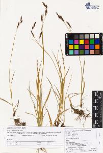 SW_BNB_s3070-03243_IMG-0000000001