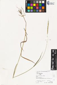 SW_BNB_s3070-03249_IMG-0000000001
