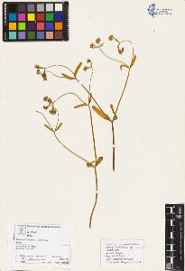 SW_BNB_s3070-03254_IMG-0000000001