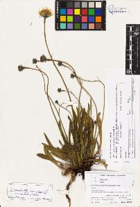 SW_BNB_s3070-03261_IMG-0000000001