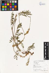 SW_BNB_s3070-03266_IMG-0000000001