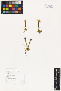 SW_BNB_s3070-03269_IMG-0000000001