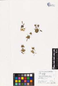 SW_BNB_s3070-03270_IMG-0000000001
