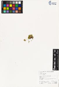 SW_BNB_s3070-03275_IMG-0000000001