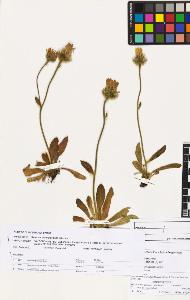 SW_BNB_s3070-03277_IMG-0000000001