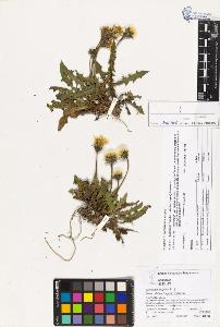 SW_BNB_s3070-03280_IMG-0000000001