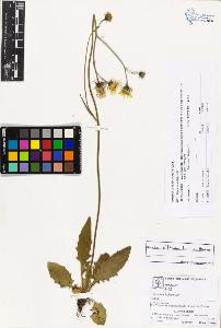 SW_BNB_s3070-03282_IMG-0000000001