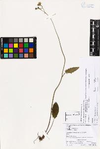SW_BNB_s3070-03286_IMG-0000000001