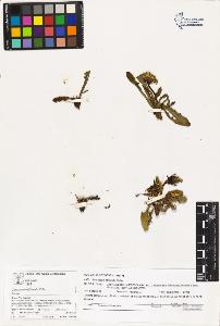 SW_BNB_s3070-03289_IMG-0000000001