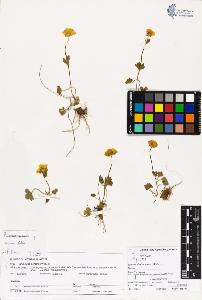 SW_BNB_s3070-03291_IMG-0000000001