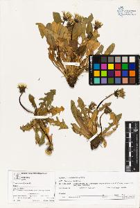 SW_BNB_s3070-03292_IMG-0000000001